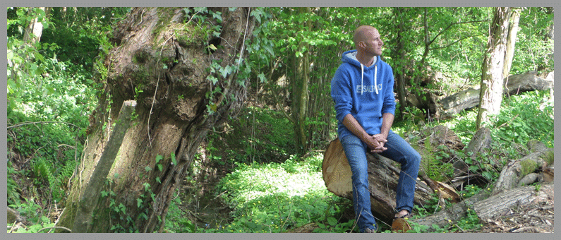 woodland walk at old oaks caravan touring park somerset